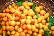 A large basket filled with ripe, golden-orange mandarins with green leaves scattered among them. The smooth, round fruits are tightly packed, and the vibrant colors create a visually appealing and fresh look.