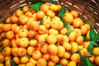 A vibrant pile of Tango mandarins with their smooth, glossy skins catching the light in a vintage basket.
