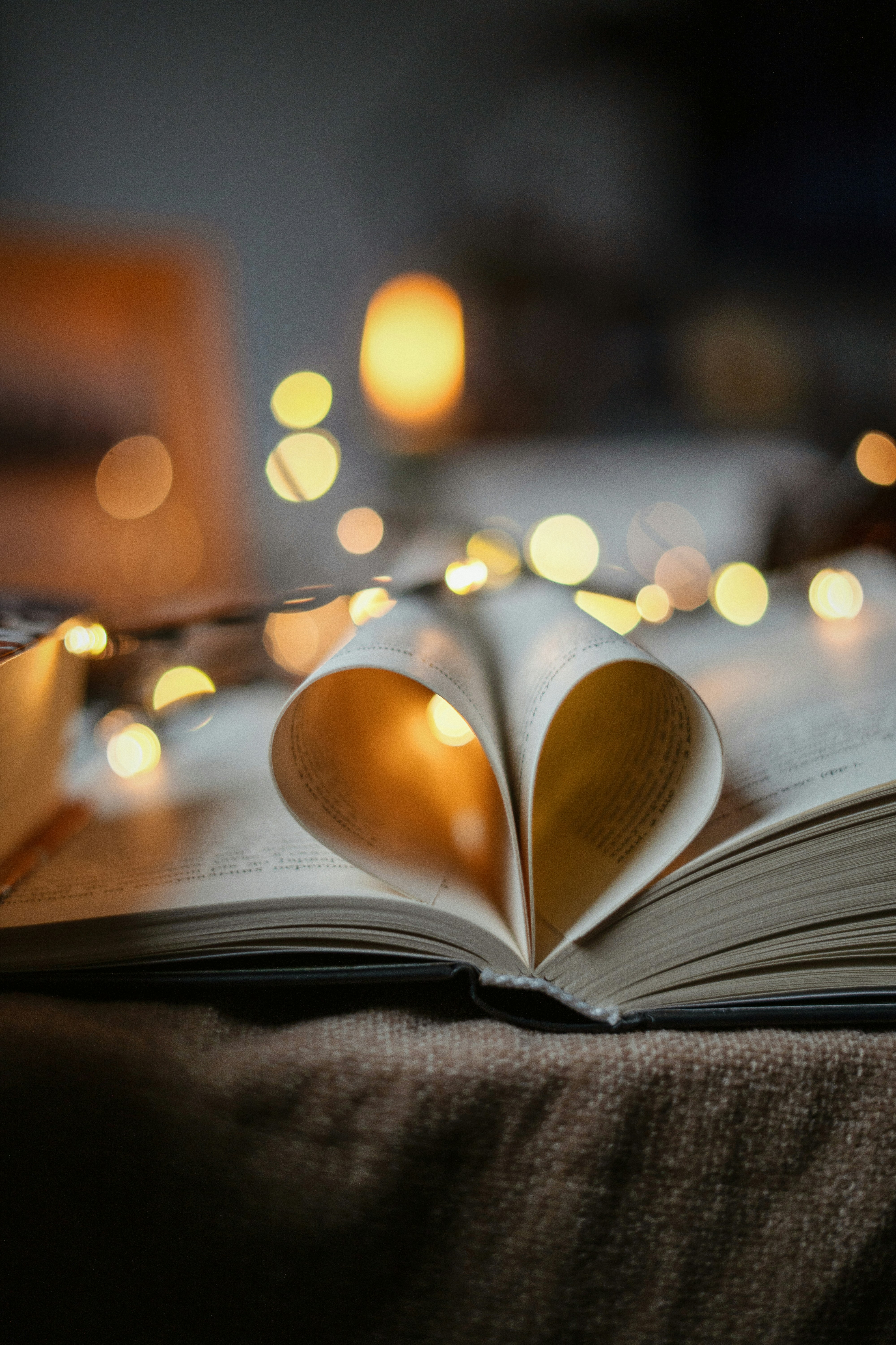 Photo by olenkasergienko