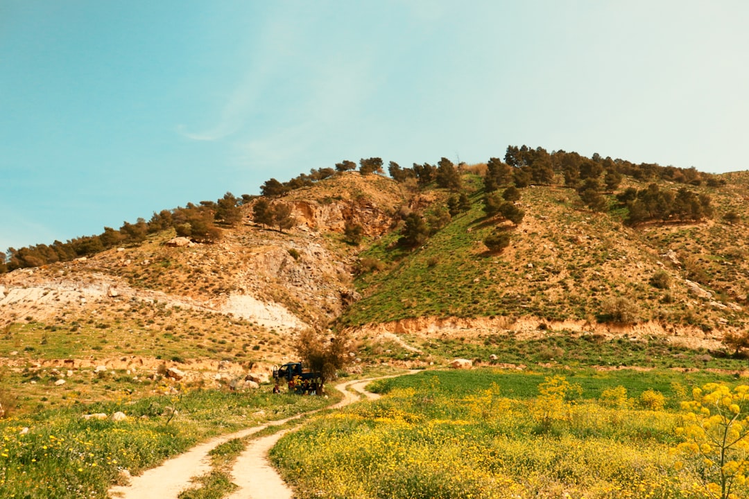 a dirt road with a hill in the background,