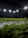A close-up perspective of artificial grass with bright stadium lights illuminating from above. The focus is primarily on the green and white blades of the synthetic turf, with the background showing blurred outlines of light fixtures and possible figures.
