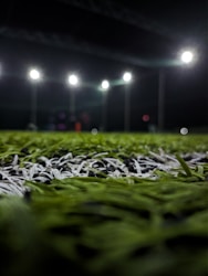 Revolutionizing Outdoor Spaces: The Environmental Benefits of Artificial Turf