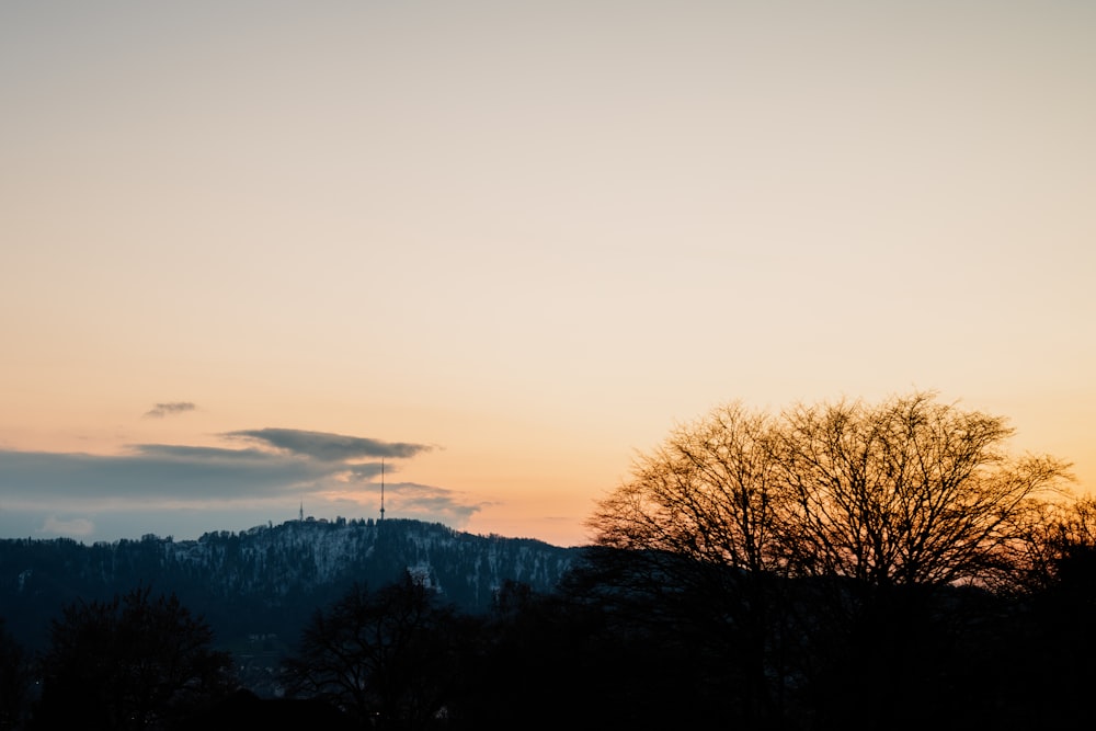 a view of a mountain at sunset with trees in the foreground