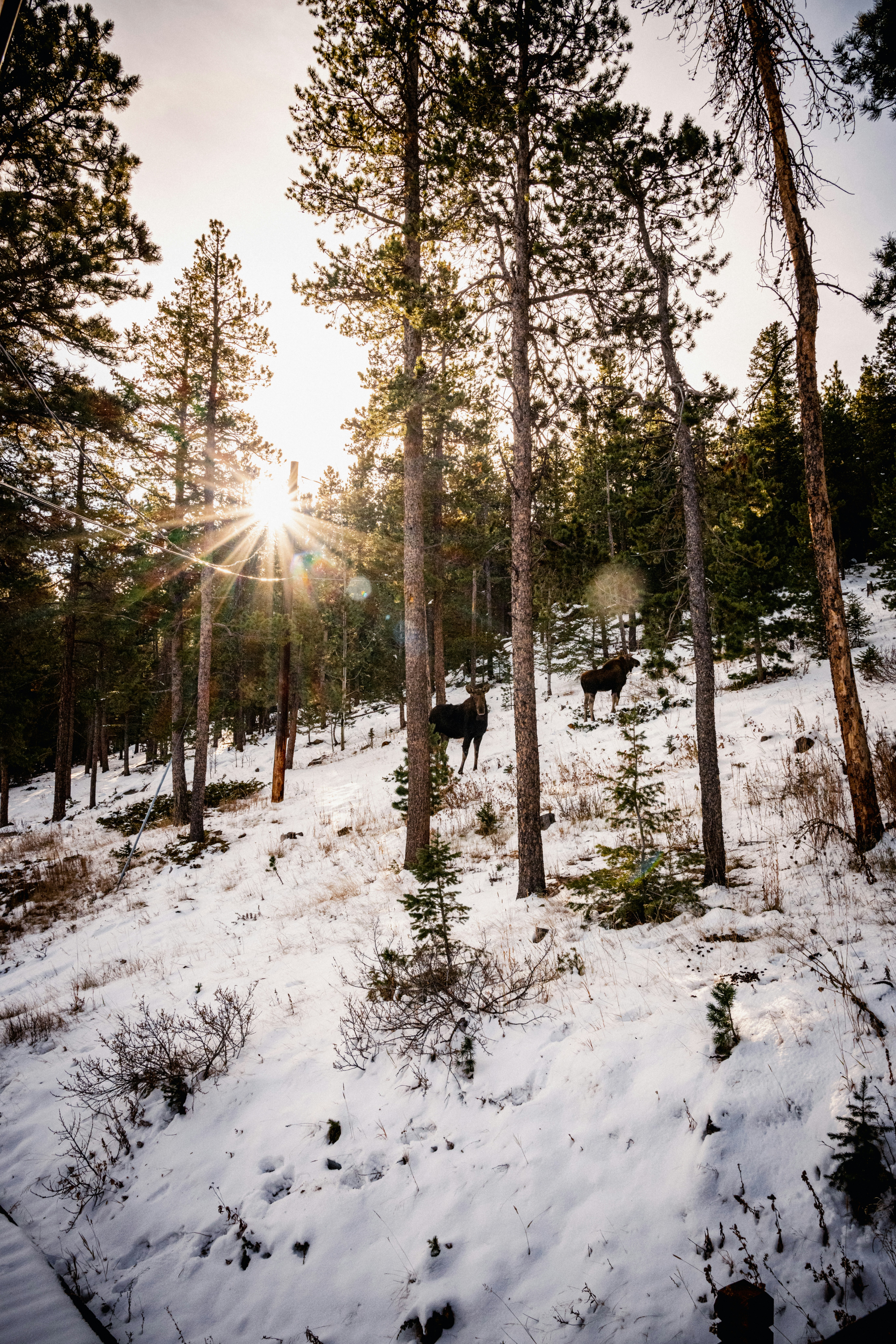 Photo by rachelcfaller