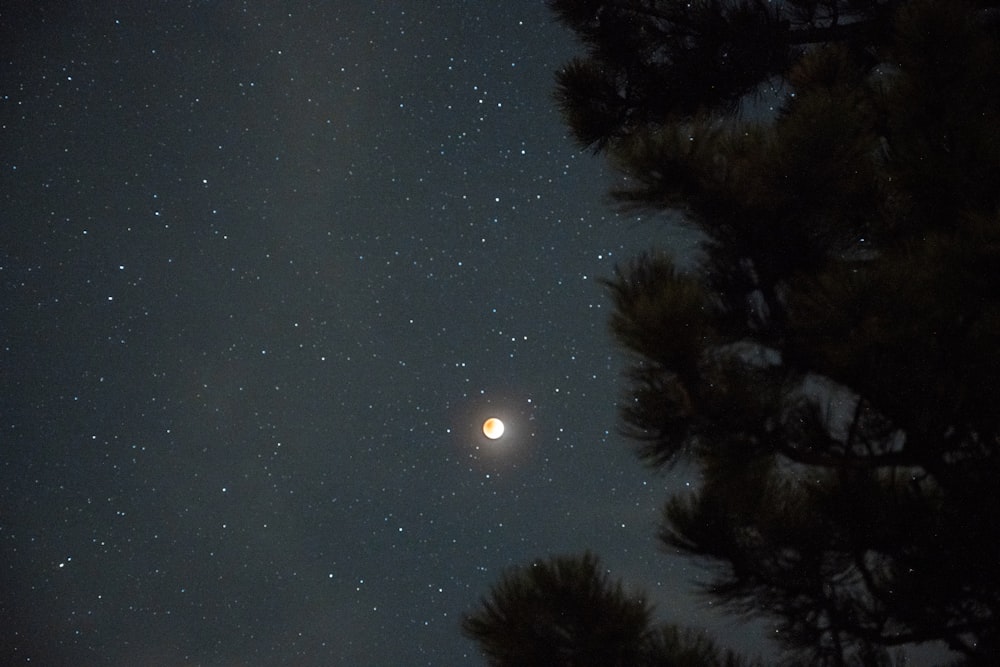 o céu noturno com estrelas e a lua