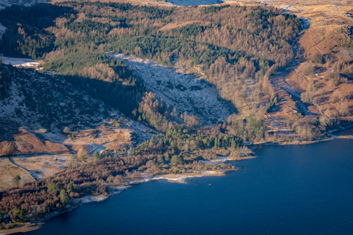 Environmental consultant assessing a forested area near a water body.