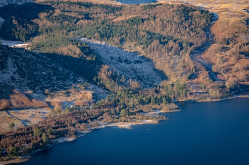 An aerial view of a large water body adjacent to a densely wooded landscape. The forest is marked by varying shades of green and brown, suggesting a mixture of coniferous and deciduous trees. Patches of land show signs of snow or frost, indicating a cold season. The undulating terrain creates a scenic and natural setting.