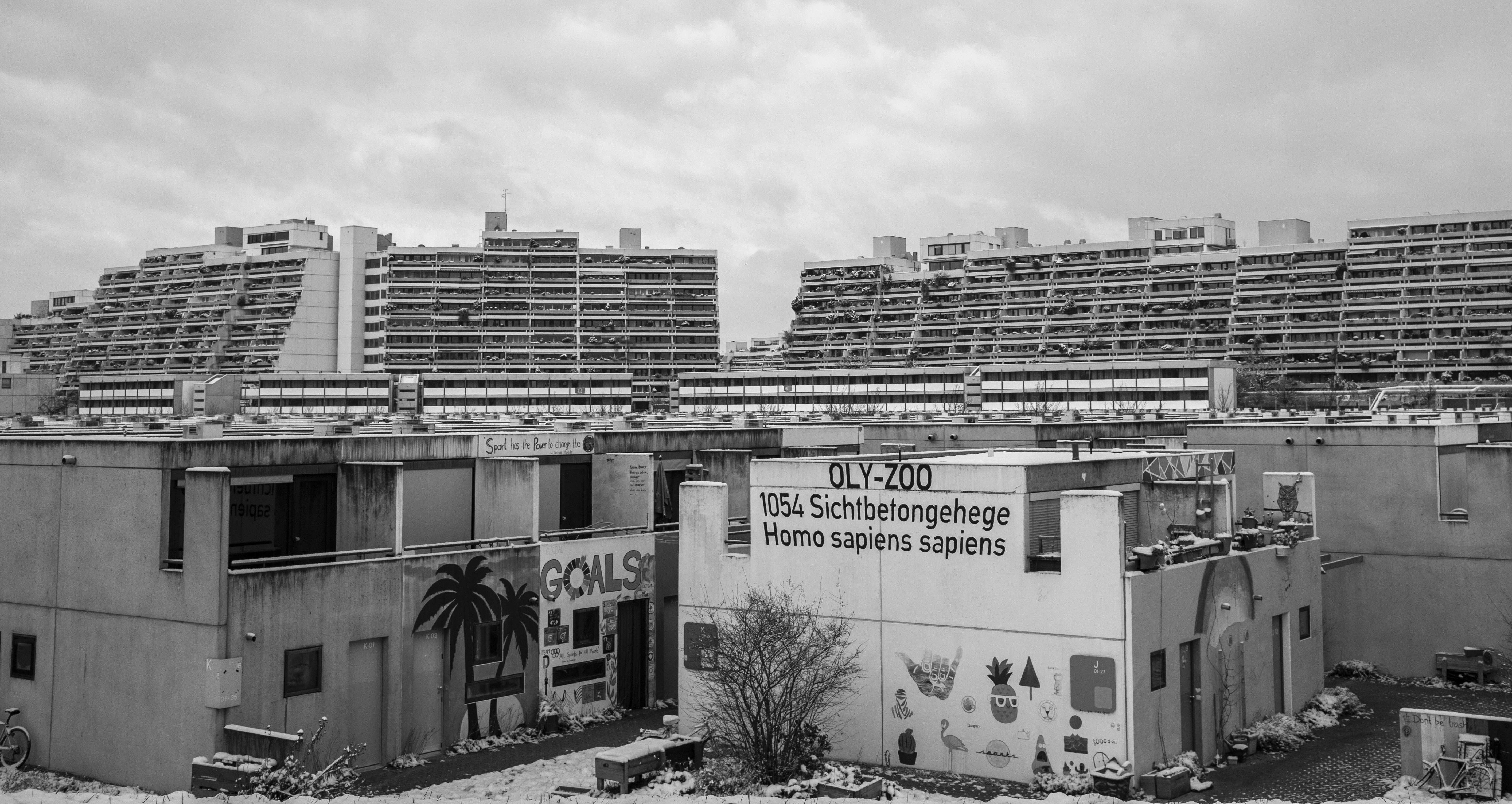 Photo by hvidkanin89