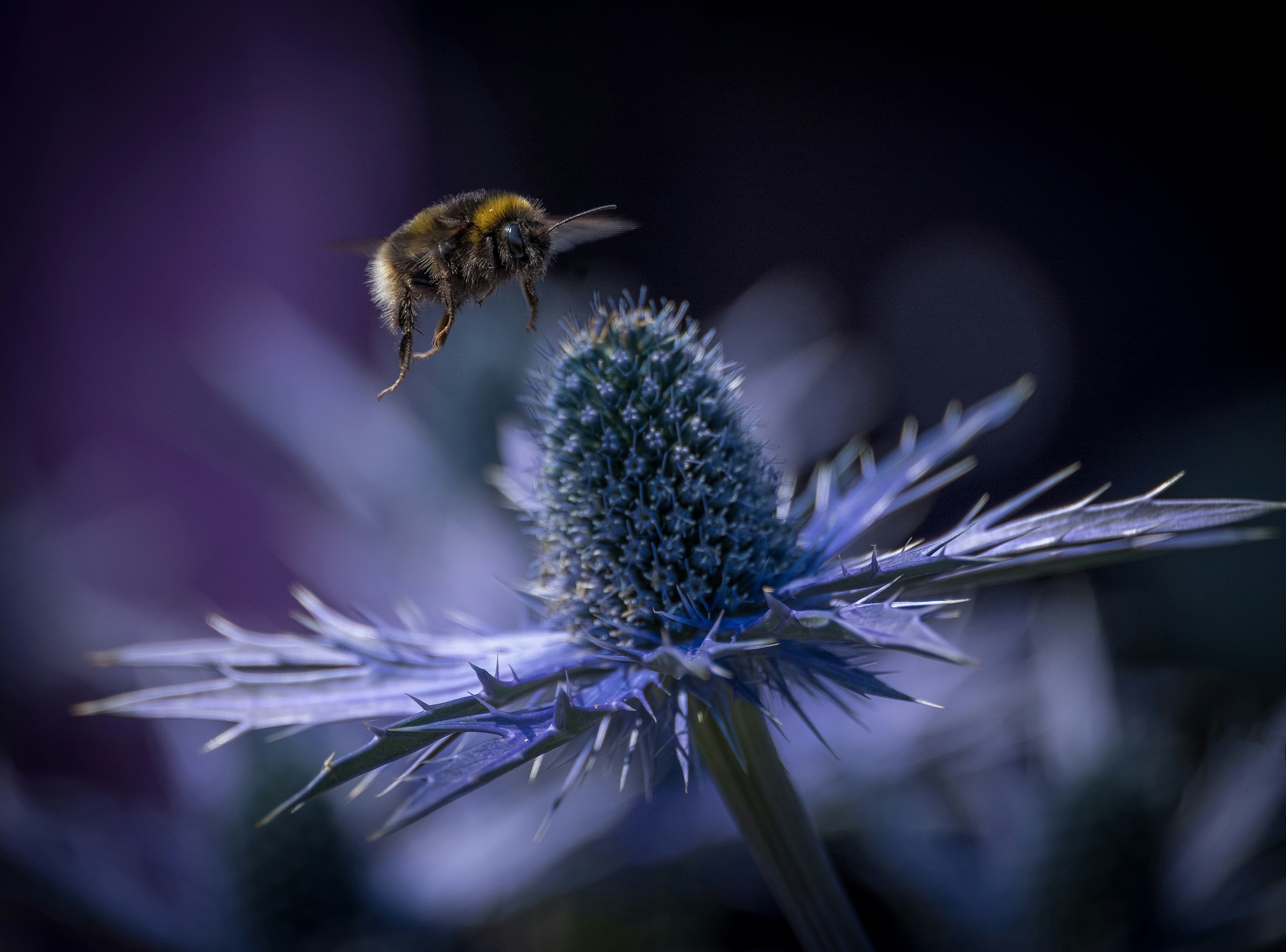 Photo by philrobson100