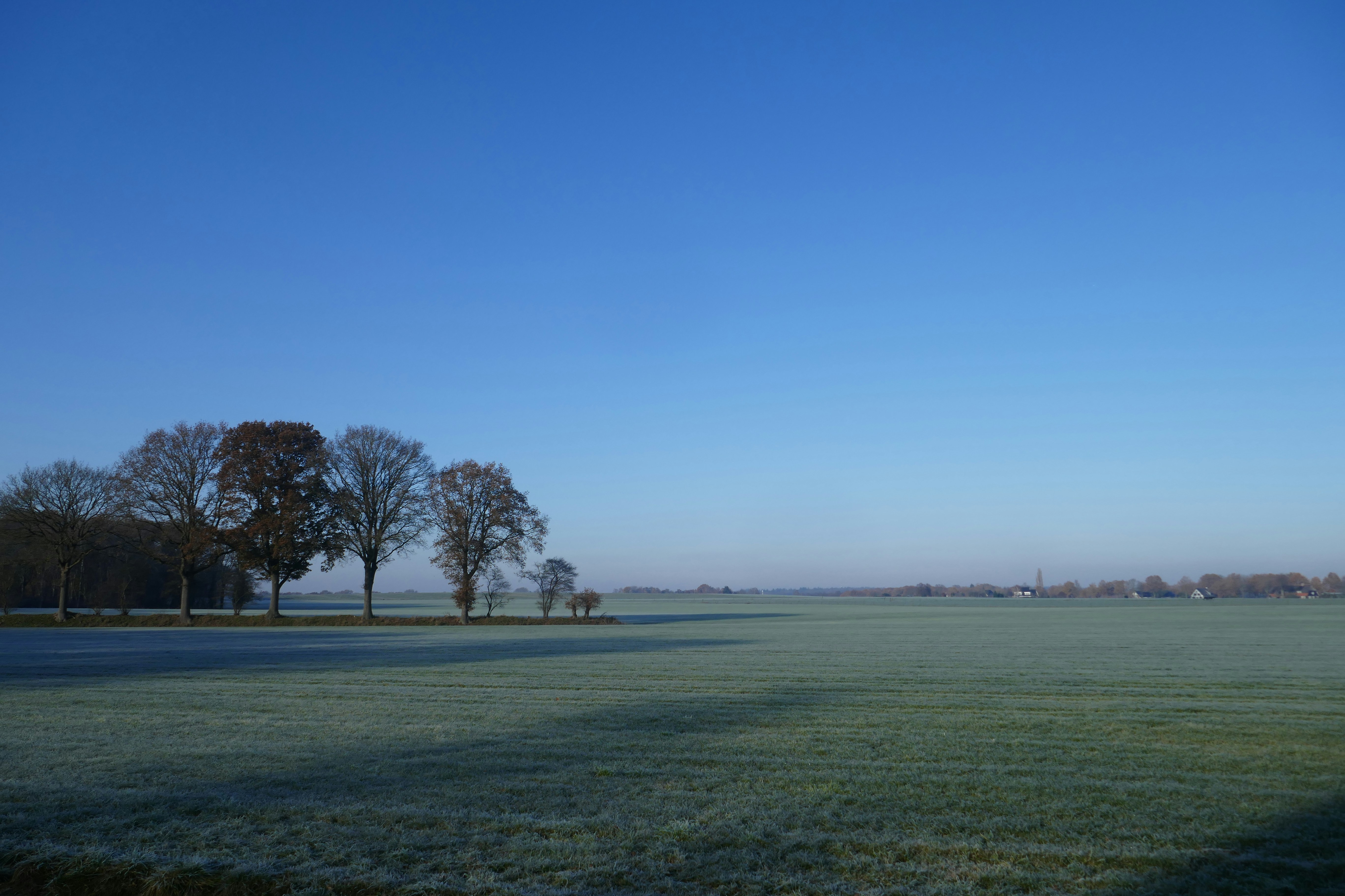 Afbeelding van Holten
