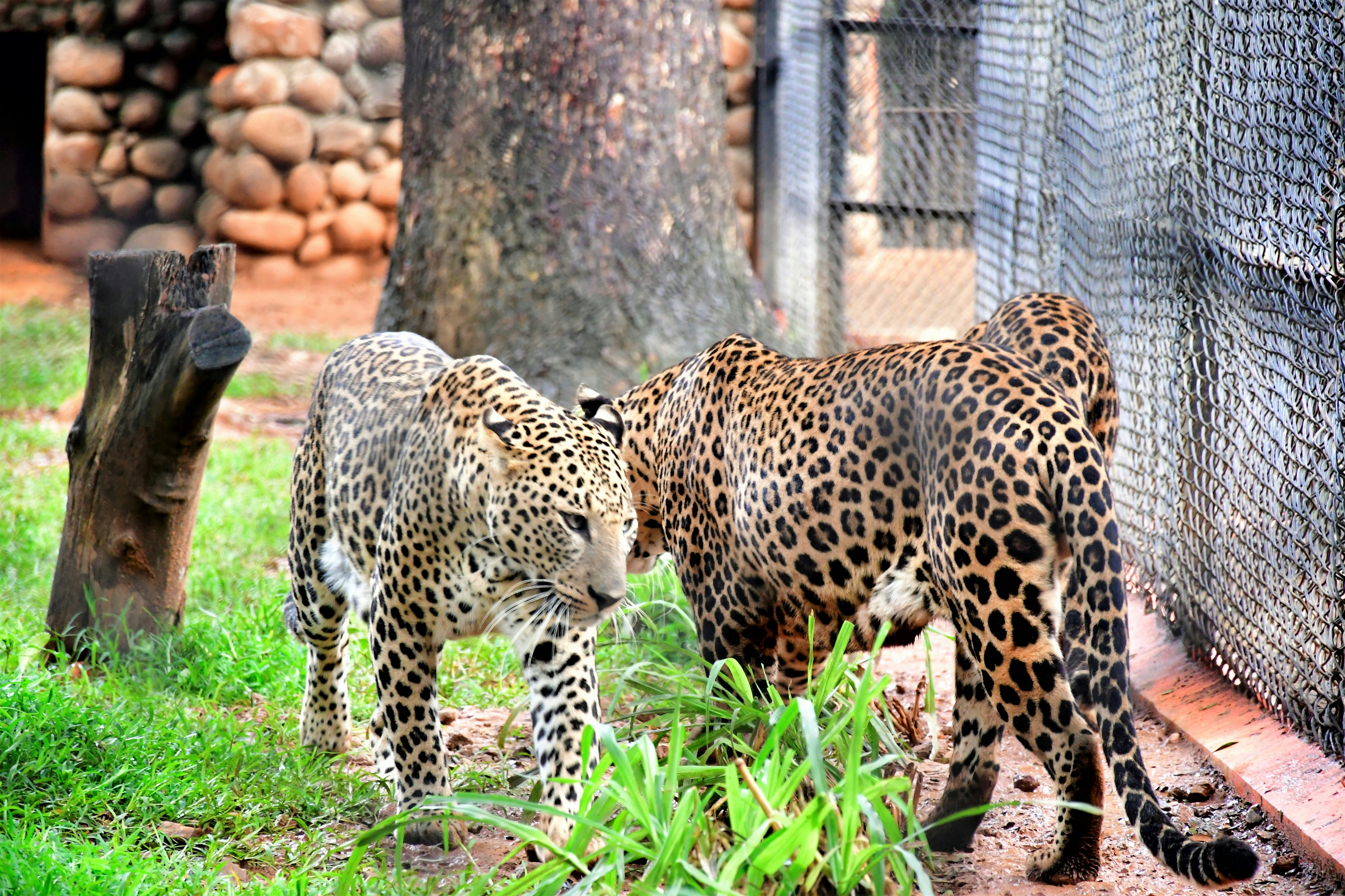 Adaptability: Social When Needed (image credits: unsplash)