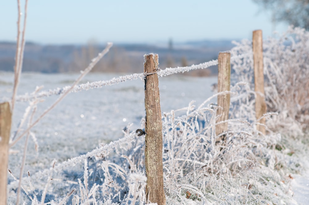 une clôture est recouverte de glace et de givre