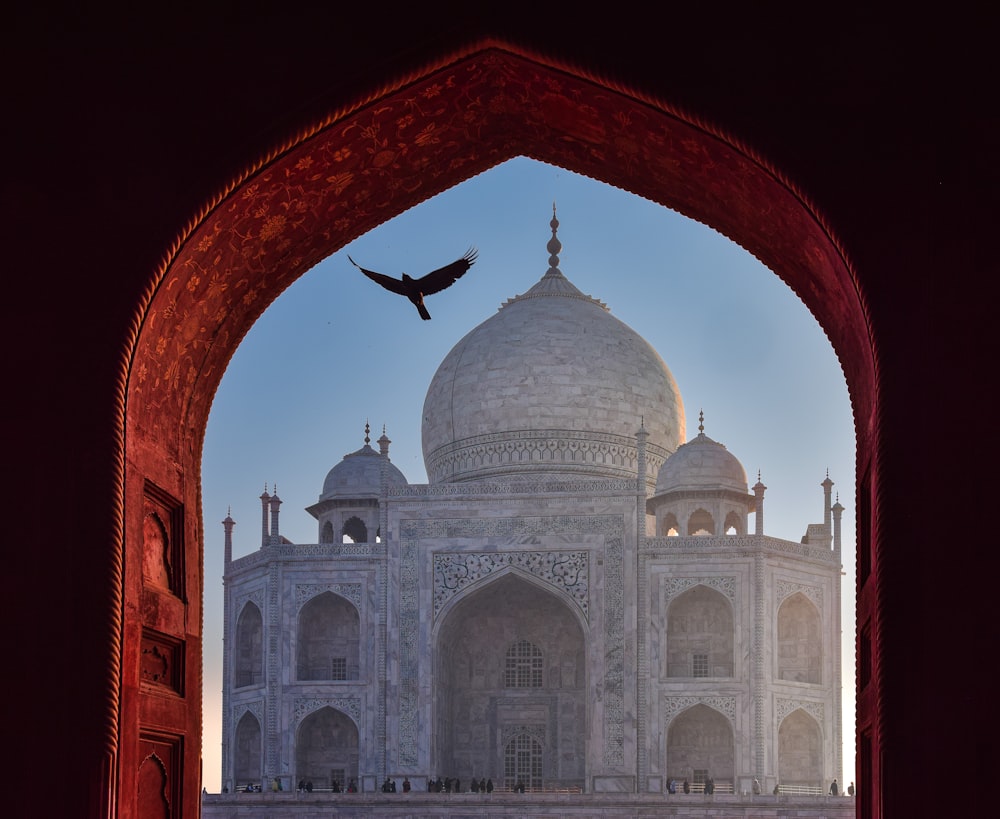 a bird flying over a large white building