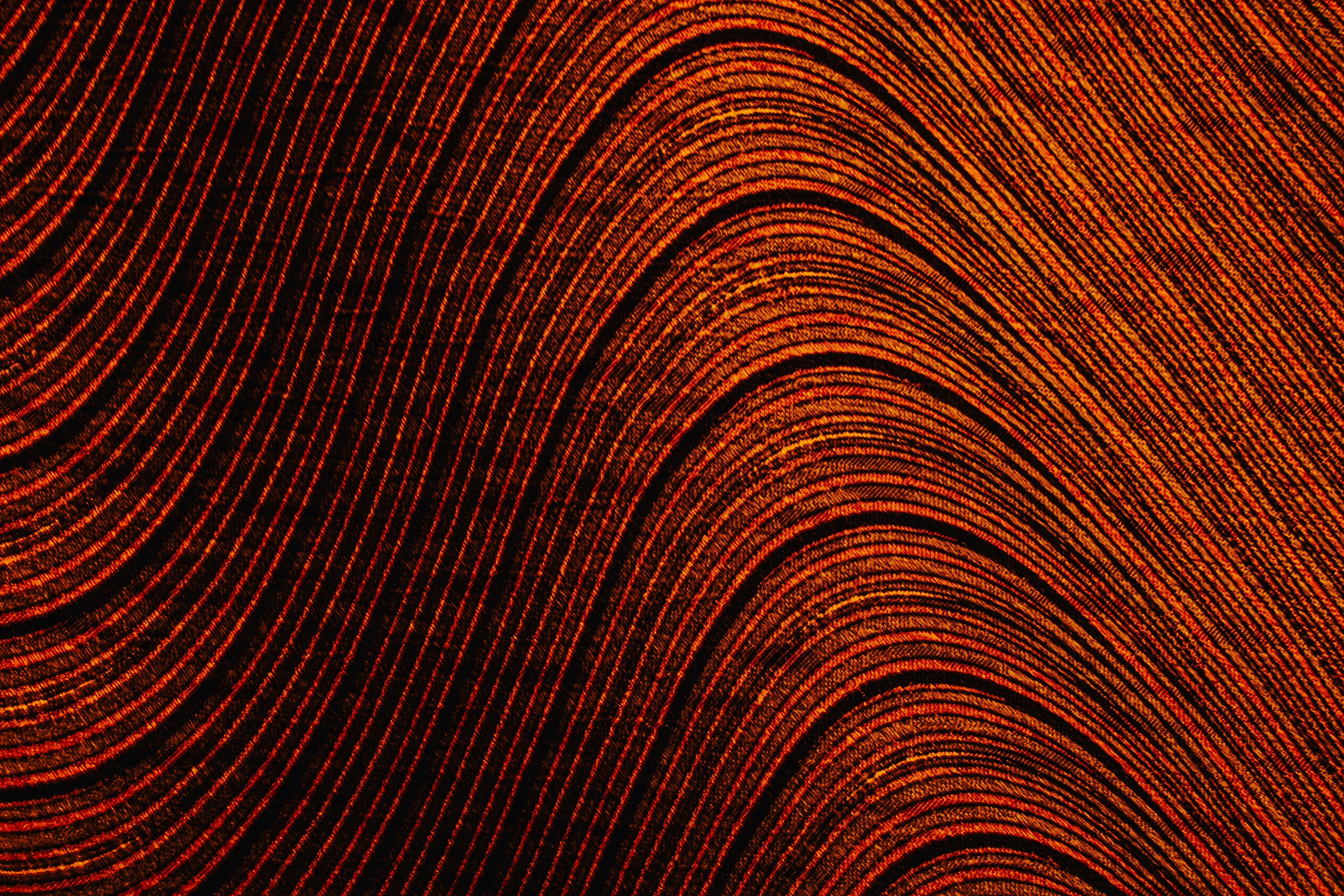 Photo by brice_cooper18