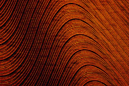 a close up of an orange and black background