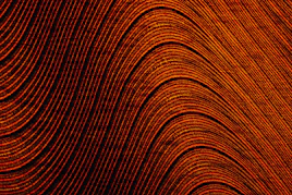 a close up of an orange and black background
