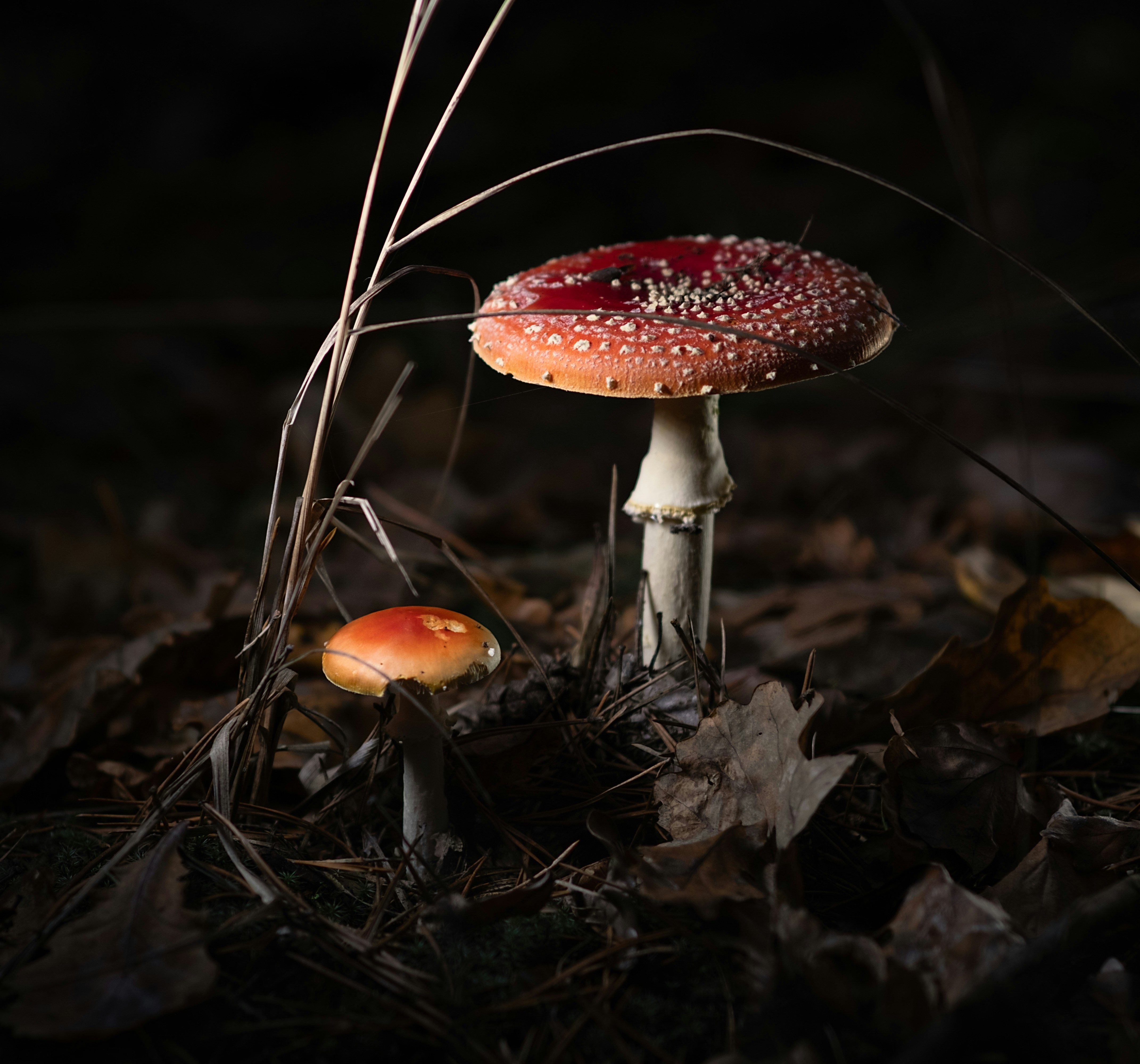 Photo by sevencolors