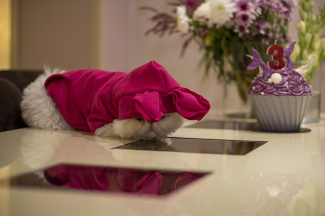 A fluffy white cat wearing a pink hooded costume lies on a reflective table surface. Nearby, there is a decorative cupcake with purple frosting and a number '3' topper, suggesting a celebration. In the background, a bouquet of flowers adds a colorful detail.