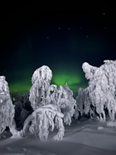An enchanting scene of nature with a magical ambiance.