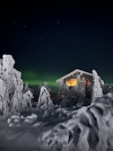 A snowy landscape features a wooden cabin illuminated by warm light from the windows. Snow-covered trees surround the cabin under a clear night sky with visible stars. The aurora borealis creates a subtle green glow in the background, adding to the serene winter setting.