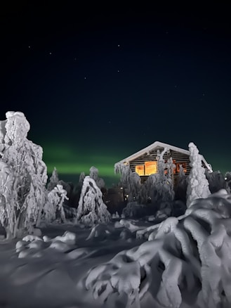A snowy landscape features a wooden cabin illuminated by warm light from the windows. Snow-covered trees surround the cabin under a clear night sky with visible stars. The aurora borealis creates a subtle green glow in the background, adding to the serene winter setting.