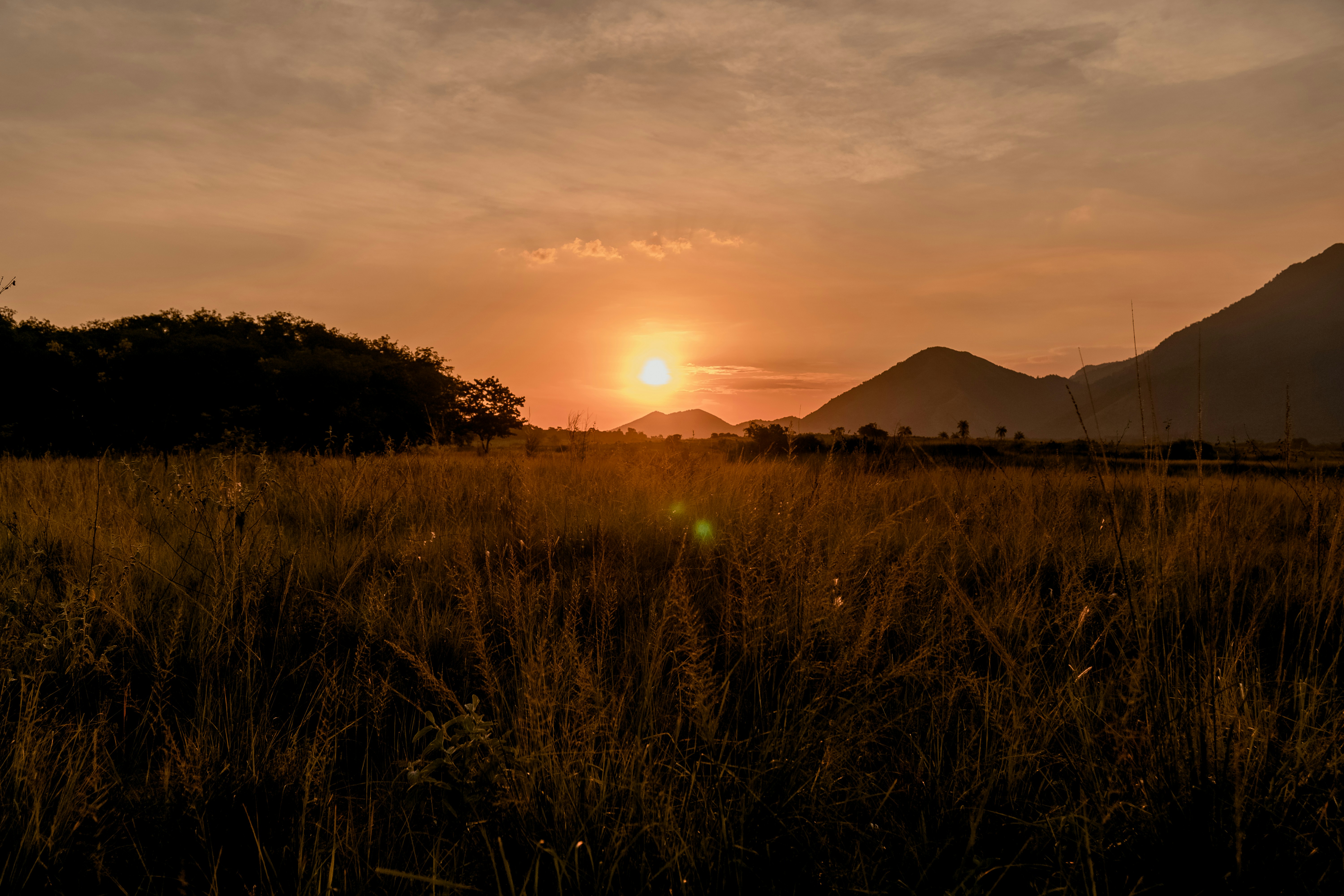 Photo by fabrizzioreis