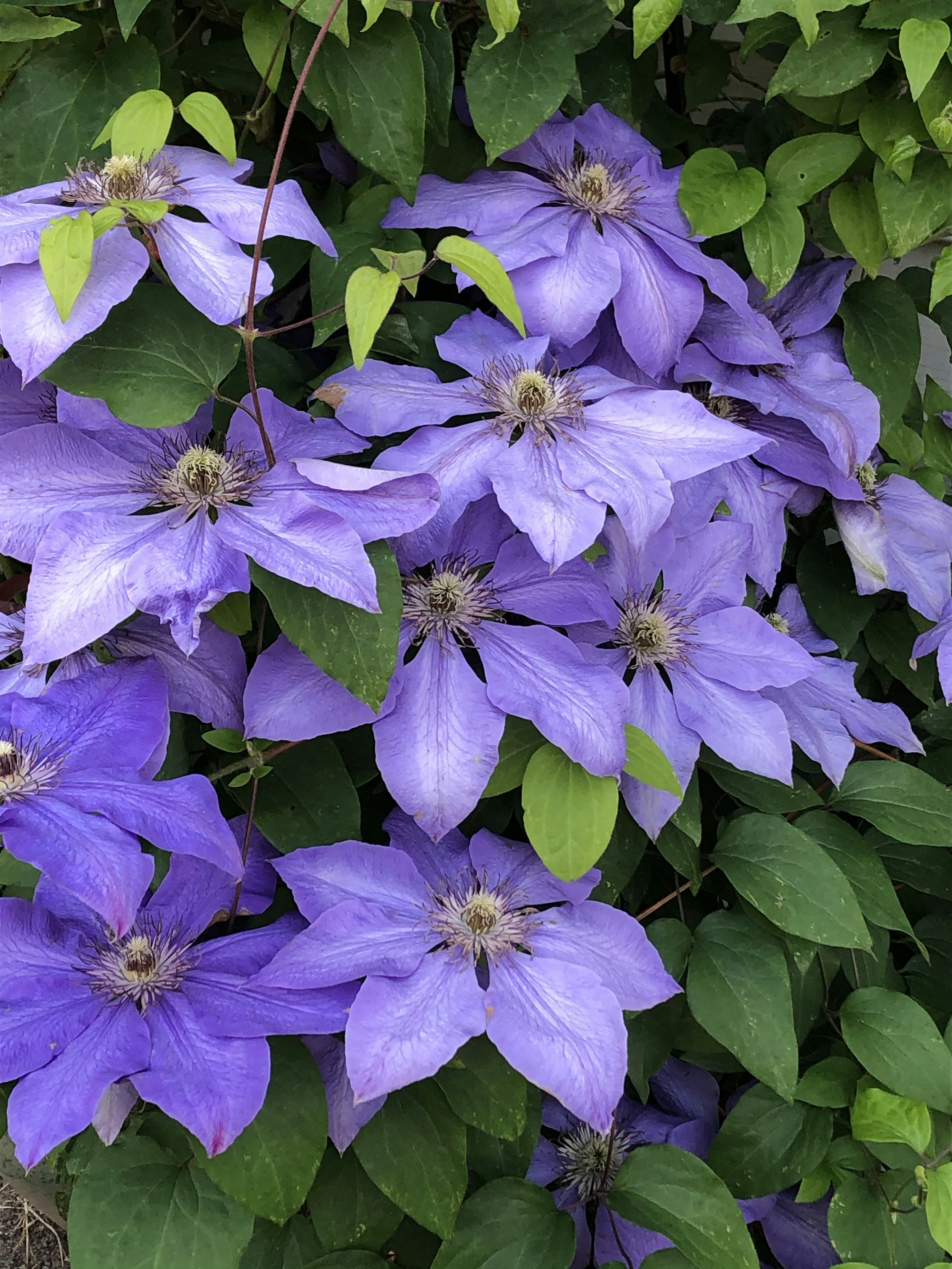 Photo by skheredia27