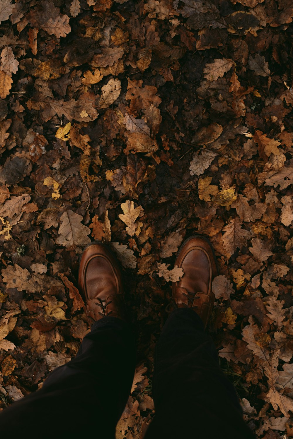 a person standing on a leaf covered ground