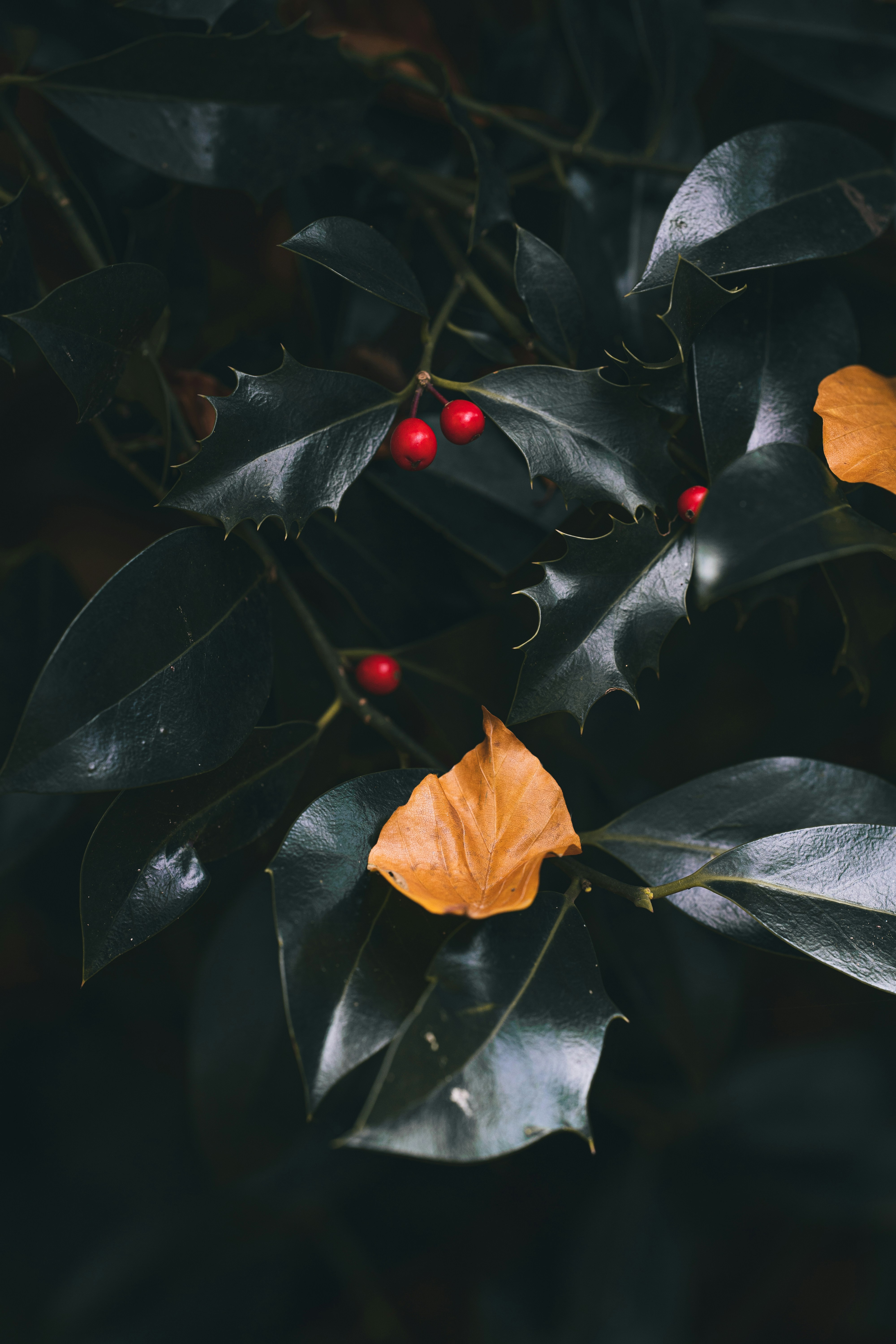 Photo by omarvellous14