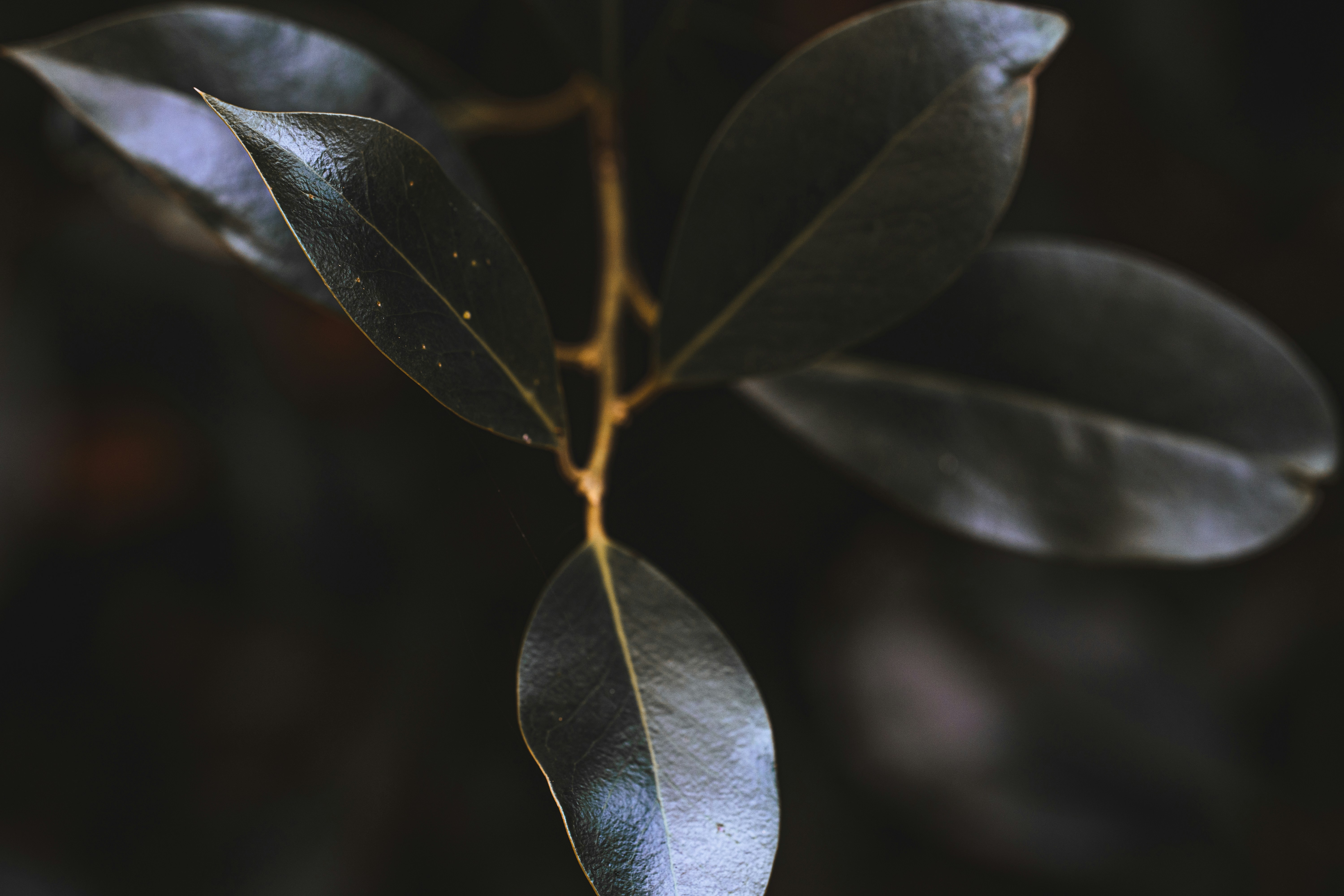 Grace King Psychotherapy and Reiki's image