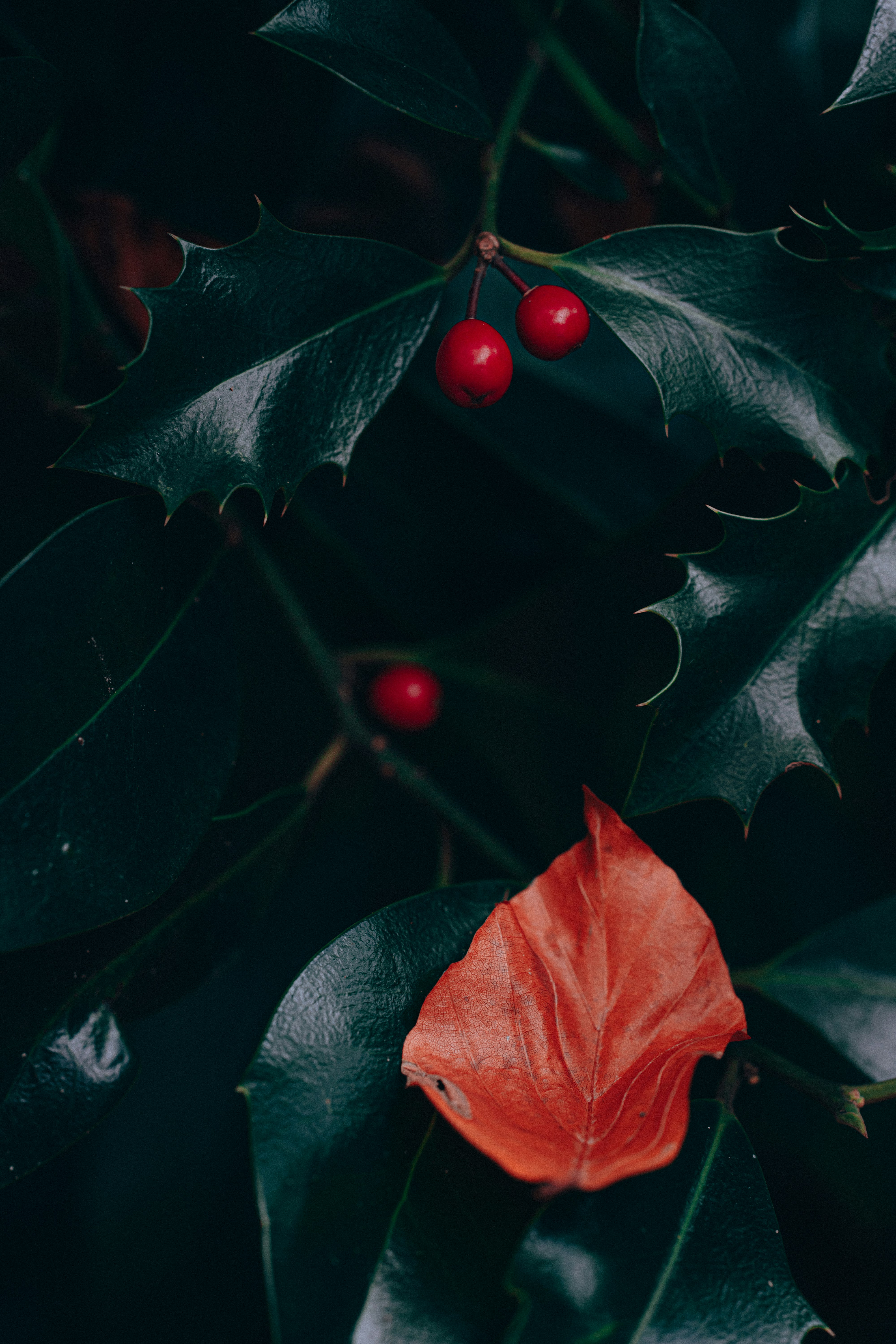 Photo by omarvellous14