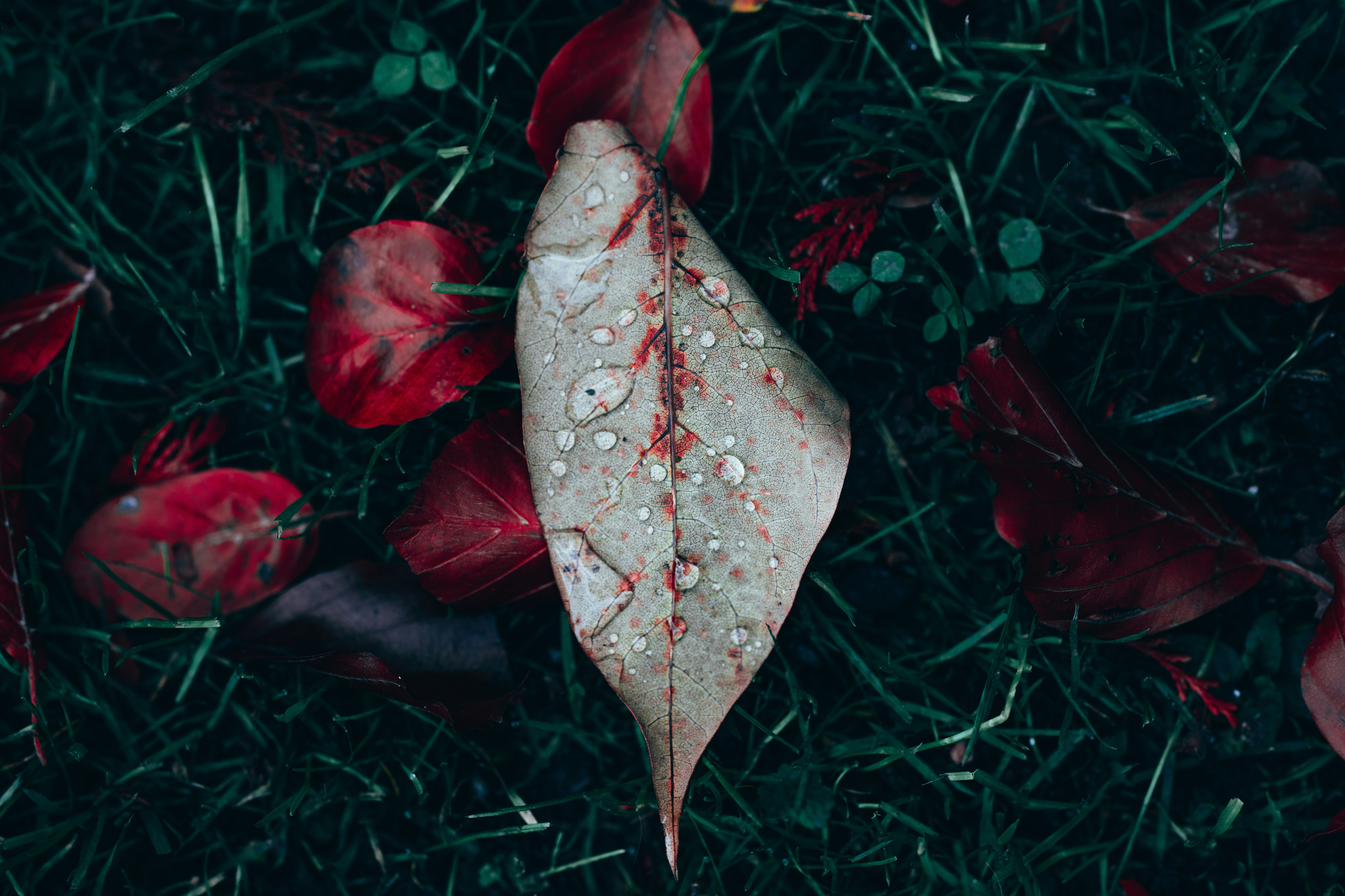 Photo by omarvellous14