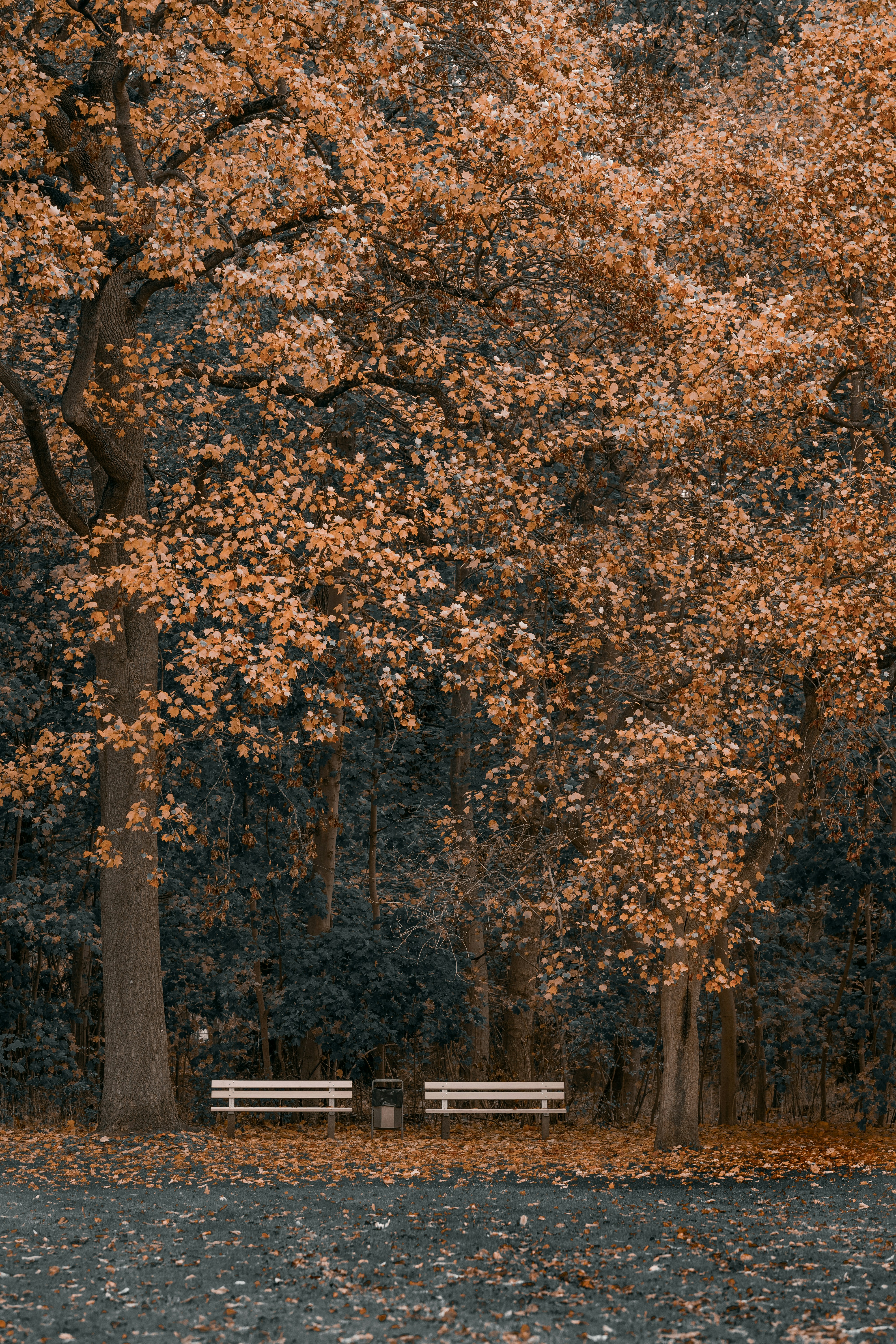 Photo by omarvellous14