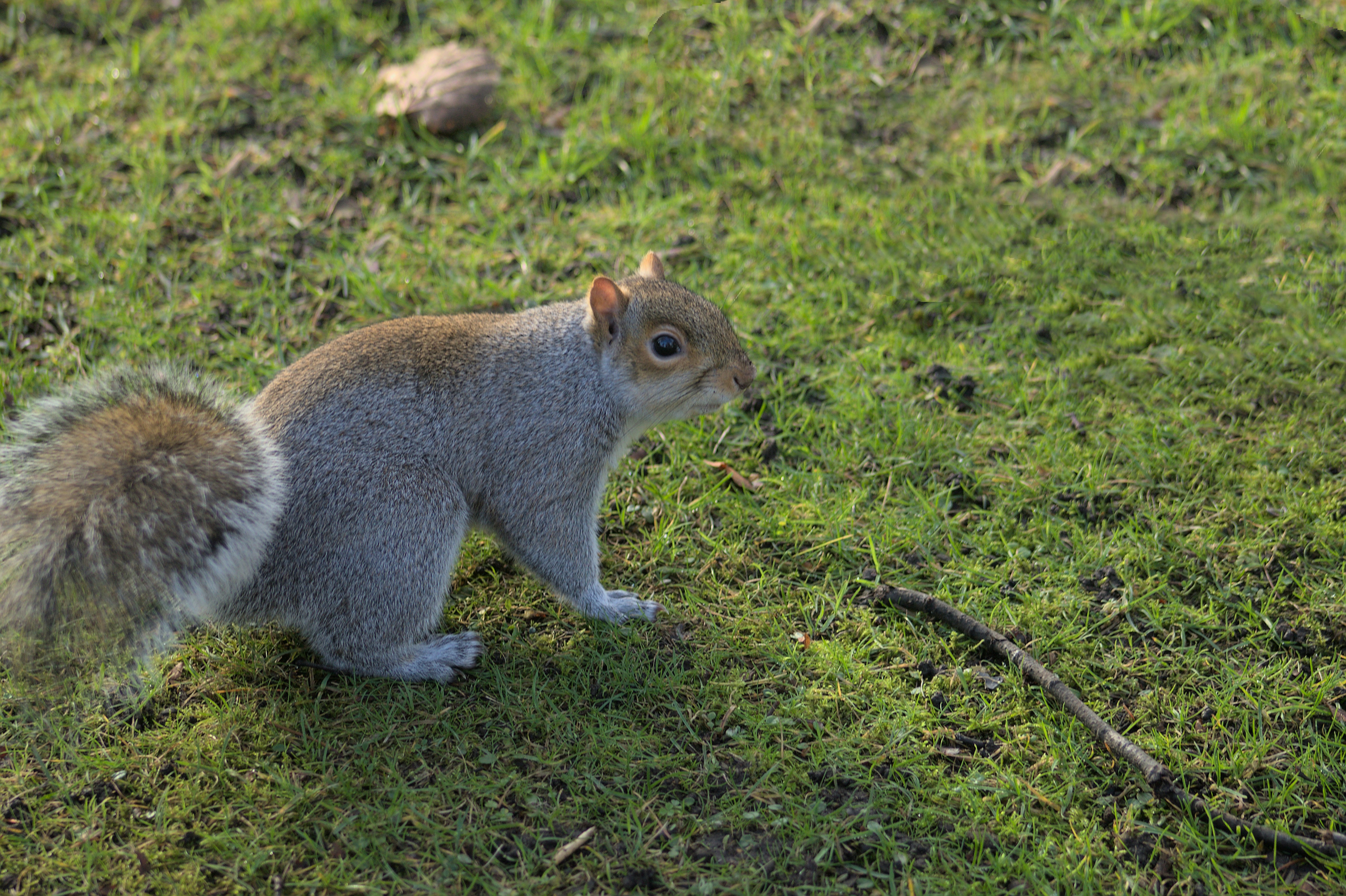 Photo by giuliogabrieli