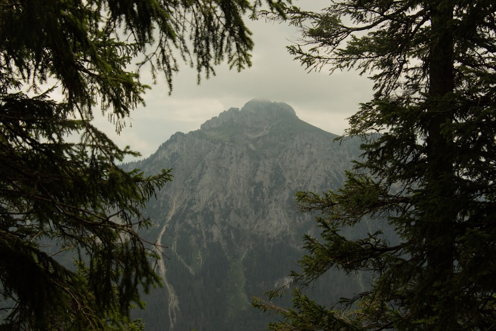 a view of a mountain through some trees