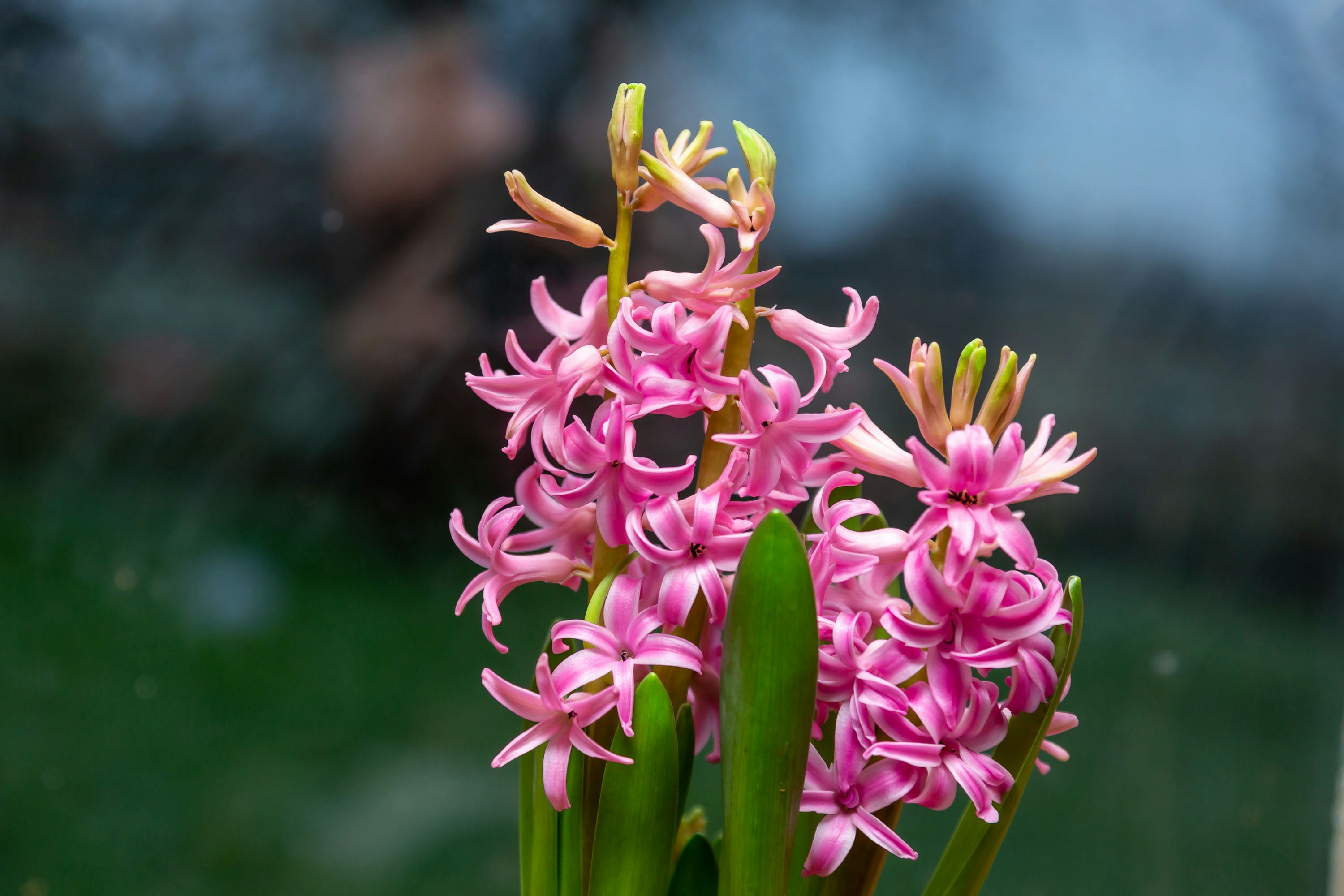Photo by itscakefortea