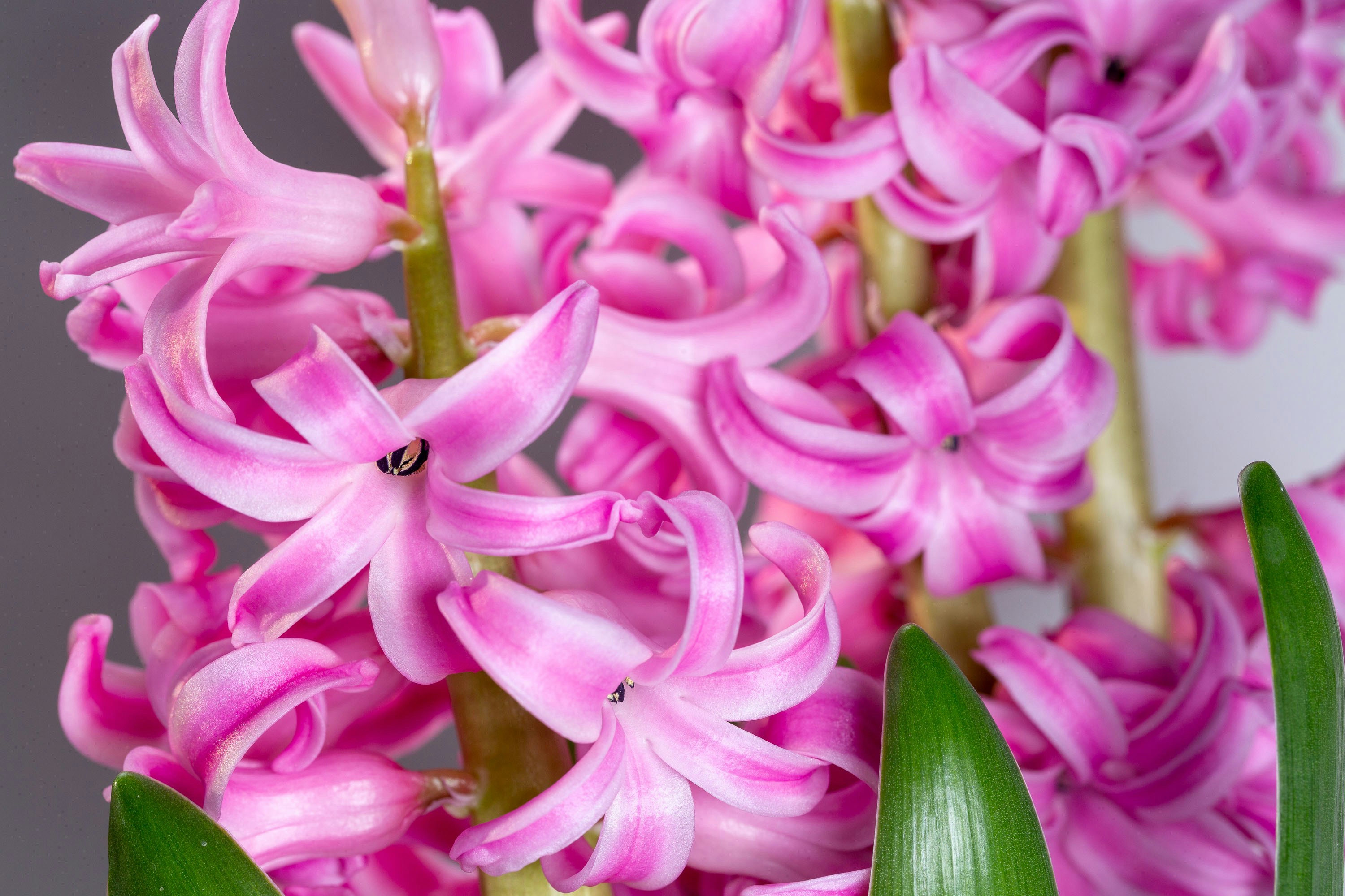 Photo by itscakefortea