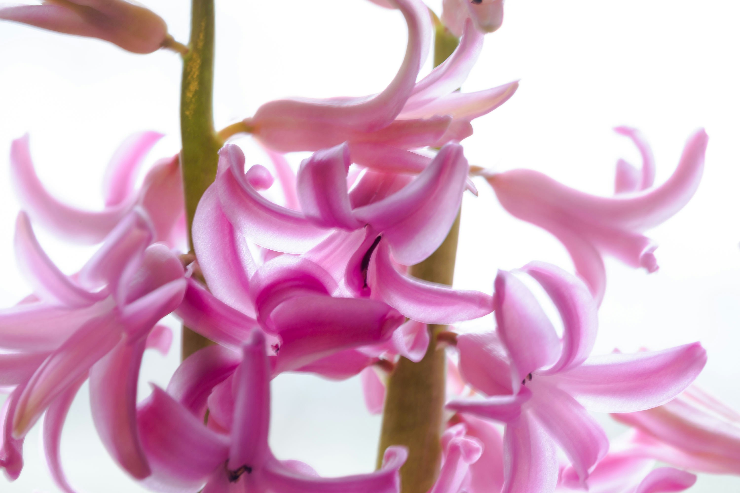 Photo by itscakefortea