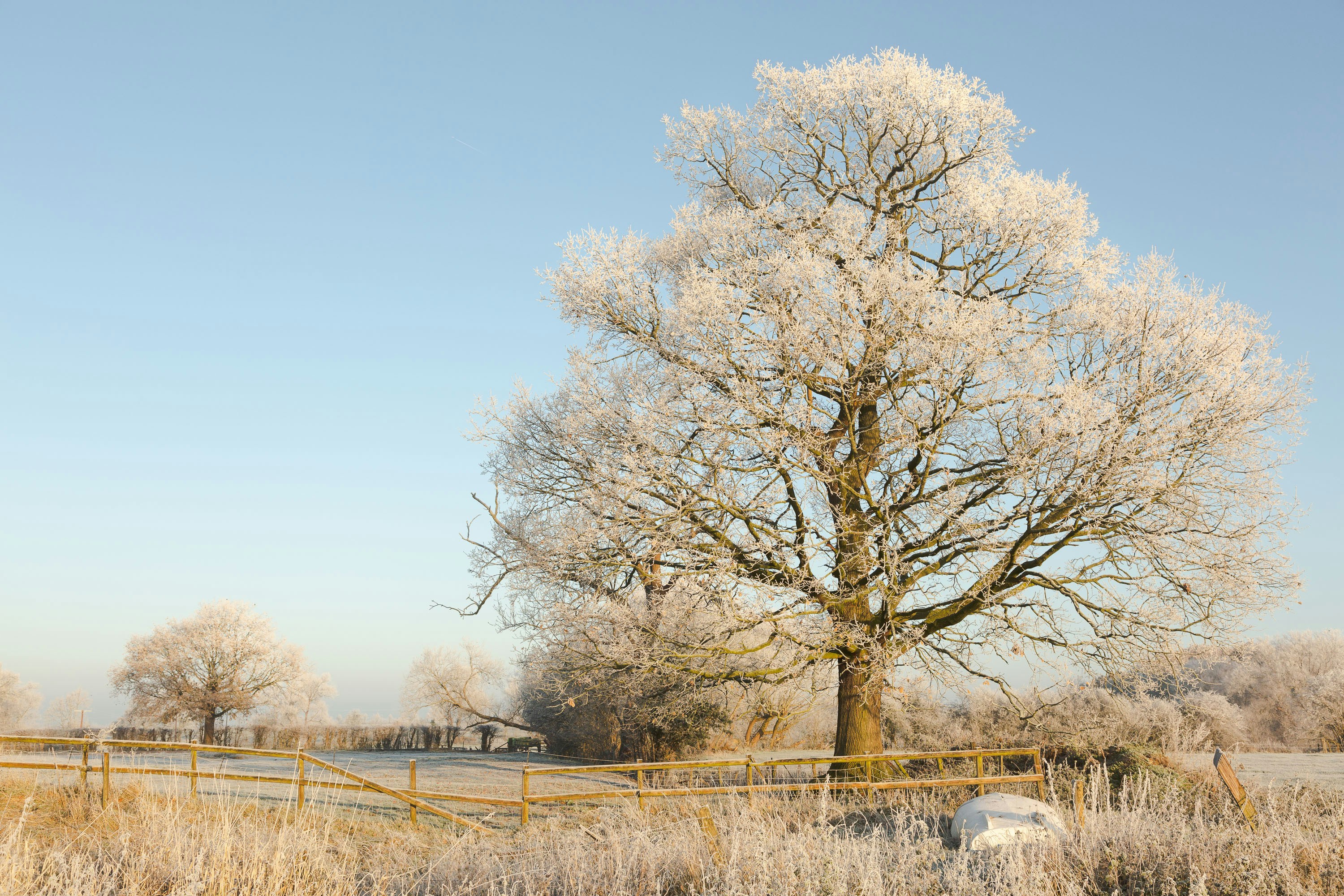 Photo by itscakefortea