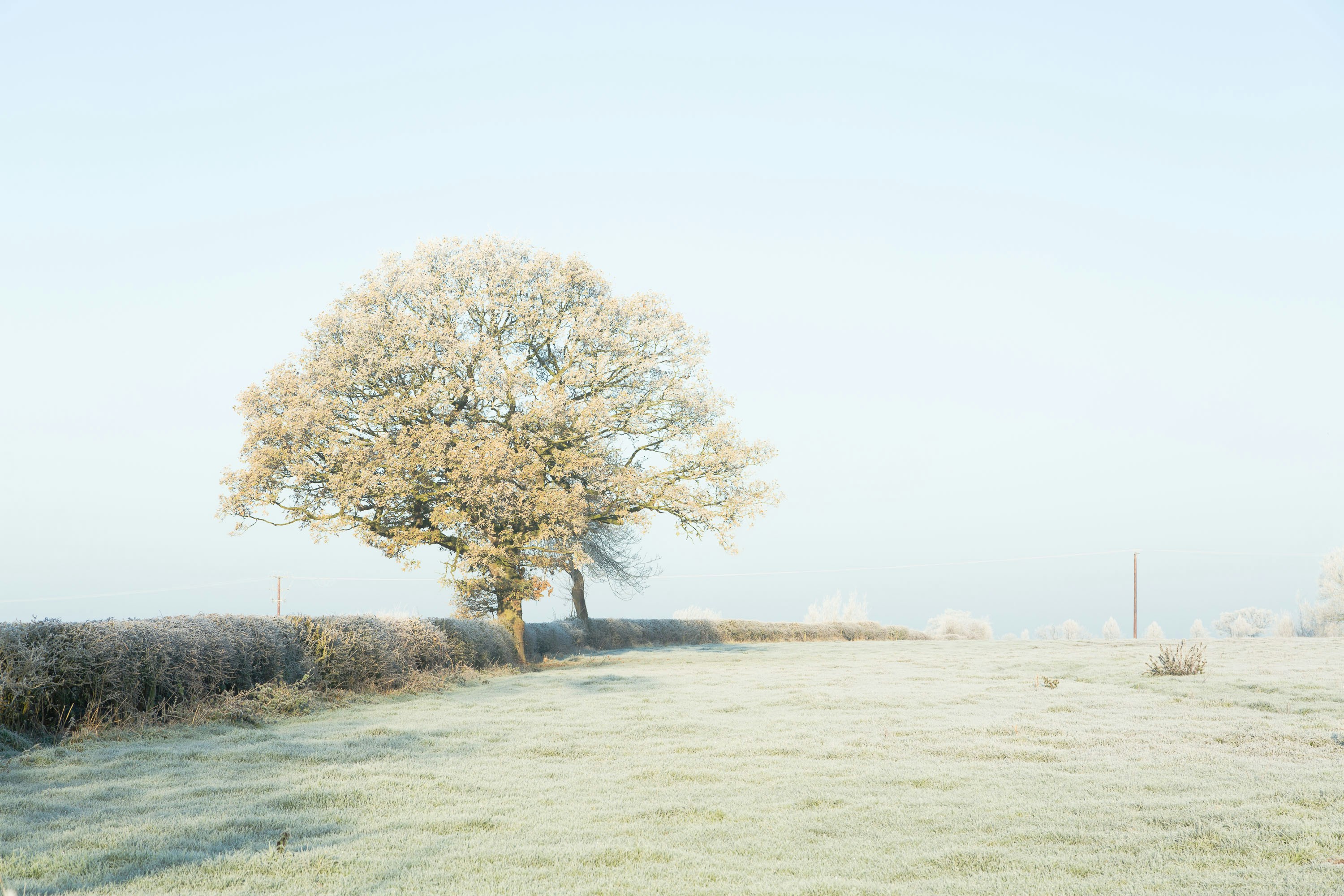 Photo by itscakefortea