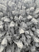 Close-up image of crystalline structures, possibly salt or sugar crystals, appearing in a chaotic and clustered arrangement. The crystals exhibit a transparent to opaque texture with sharp, angular edges.