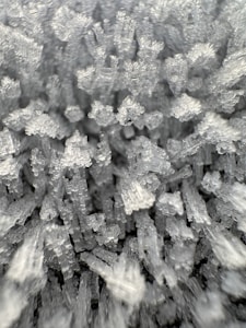 Urea Fertilizer
