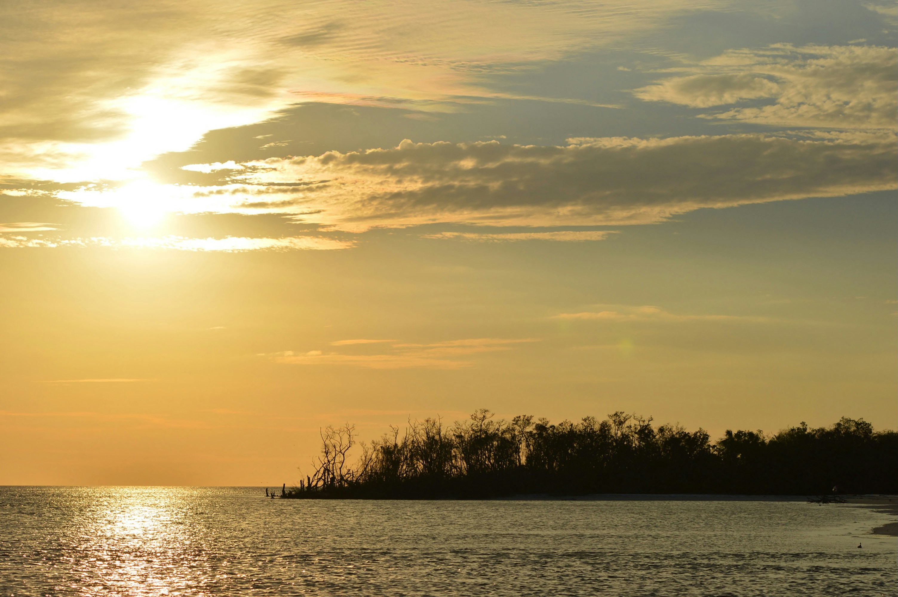 Photo by thisissofiapagan