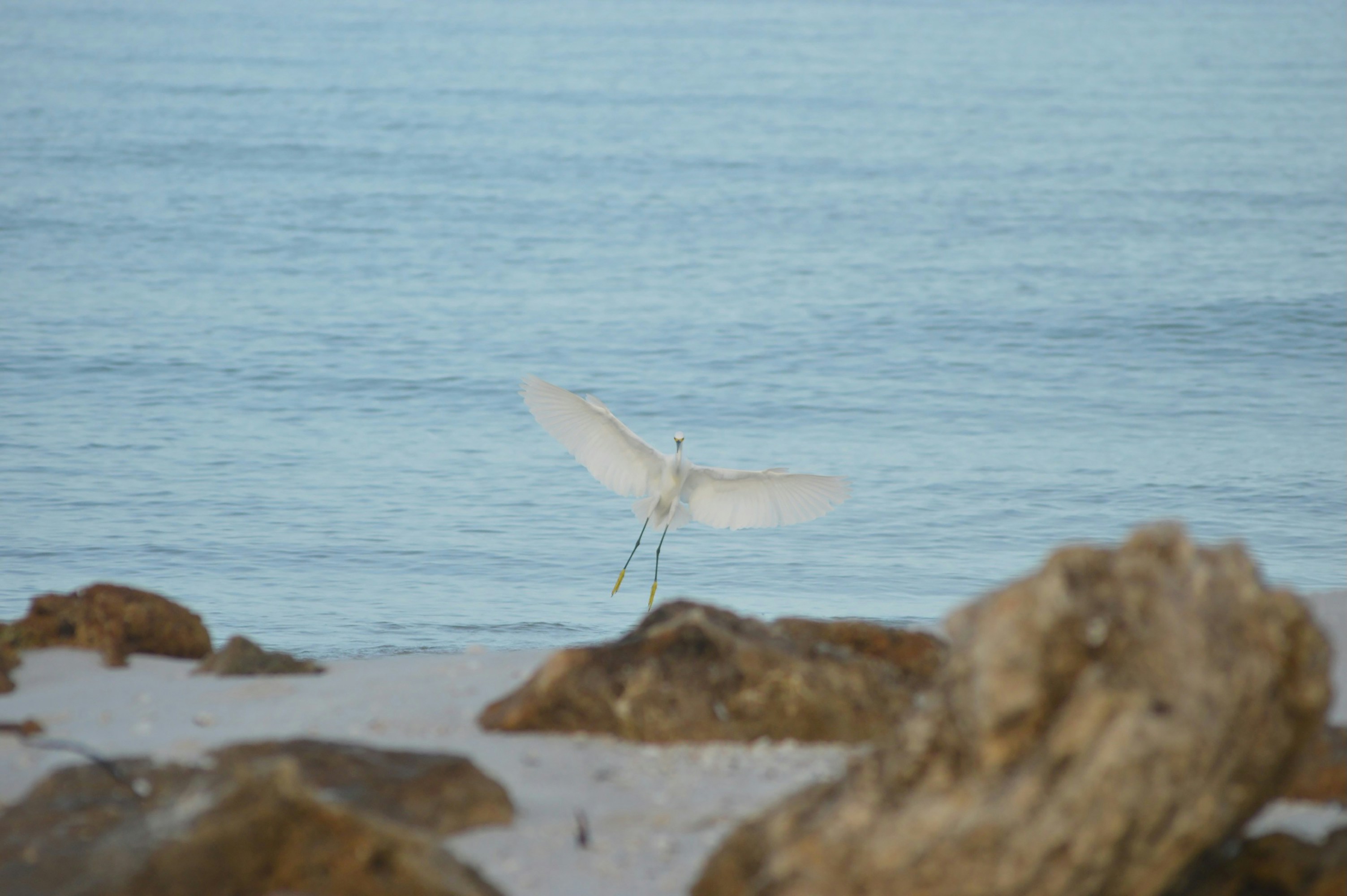 Photo by thisissofiapagan