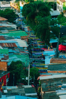 An aerial view of an urban neighborhood with colorful rooftops and houses densely packed together. Flags and banners hang across the narrow streets, adding a festive atmosphere. Tall palm trees and lush greenery are scattered throughout the area, providing a contrast to the urban setting.