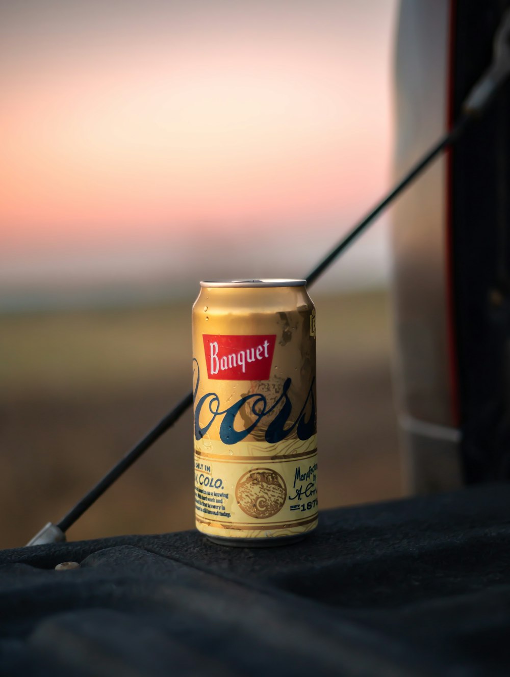 uma lata de cerveja sentada no capô de um carro