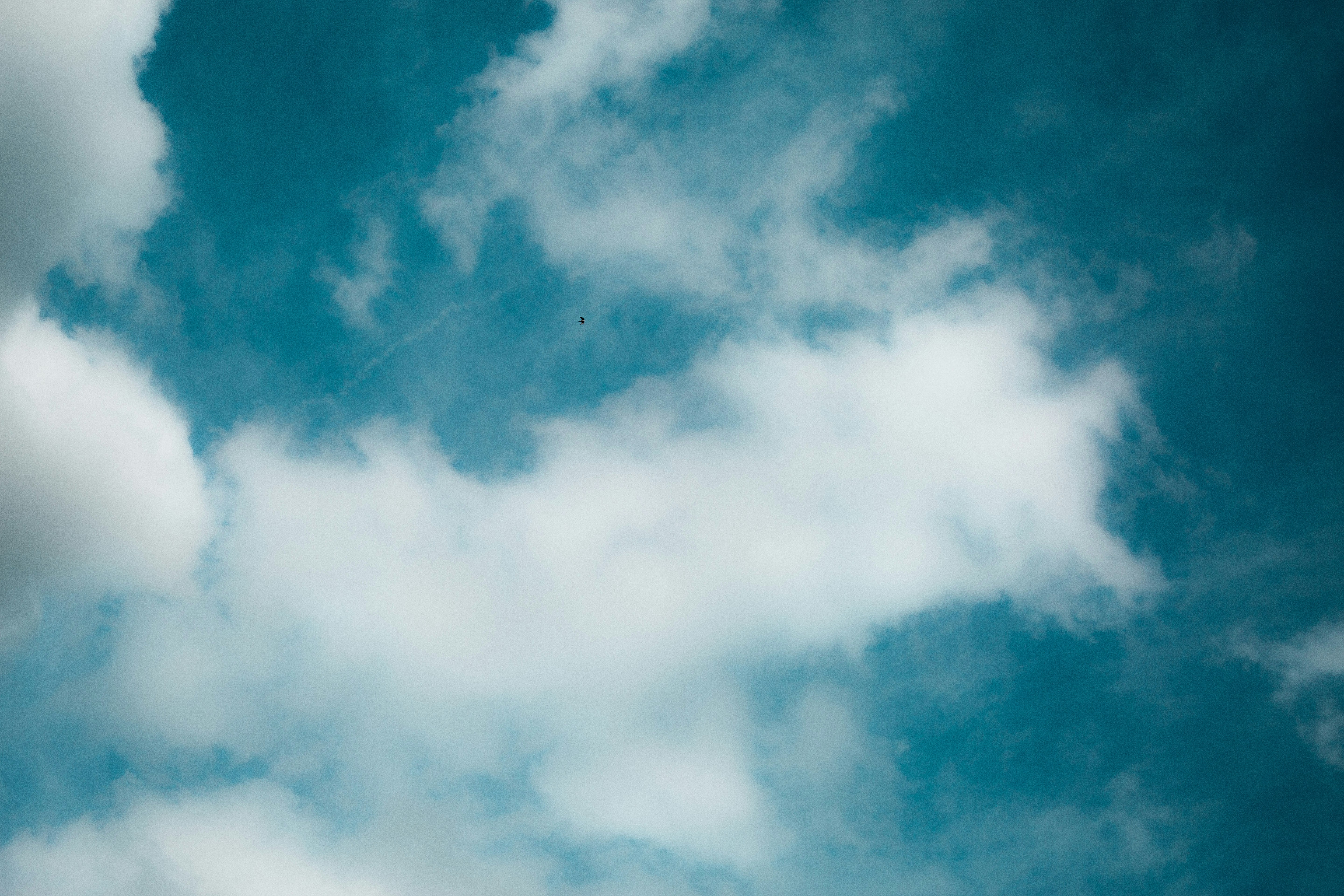 Photo by framesbyblake