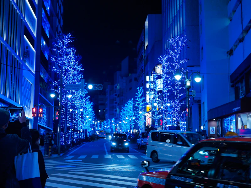 Winter Illuminations: Japan After Dark