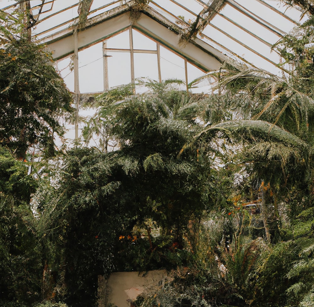 a greenhouse filled with lots of green plants and trees
