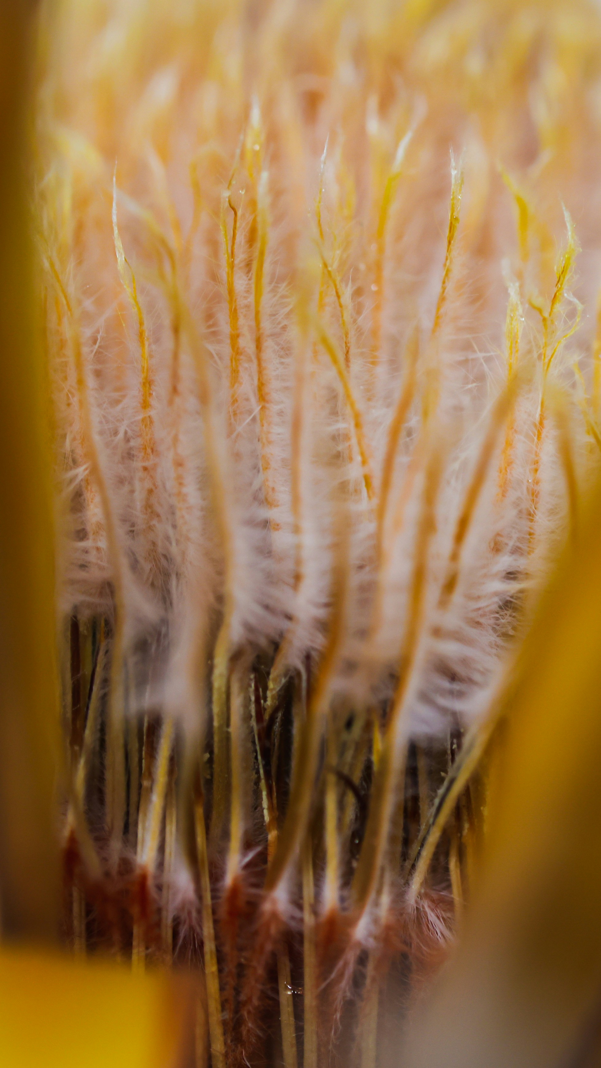 Photo by dickenslin76